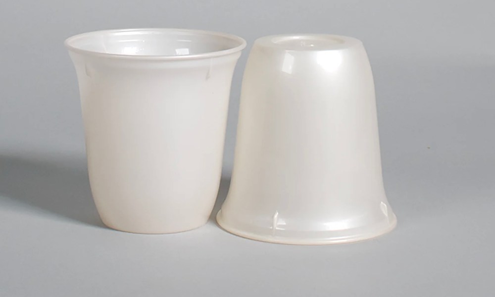 8 oz compostable cups